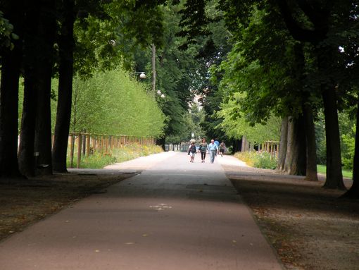  Pépinière